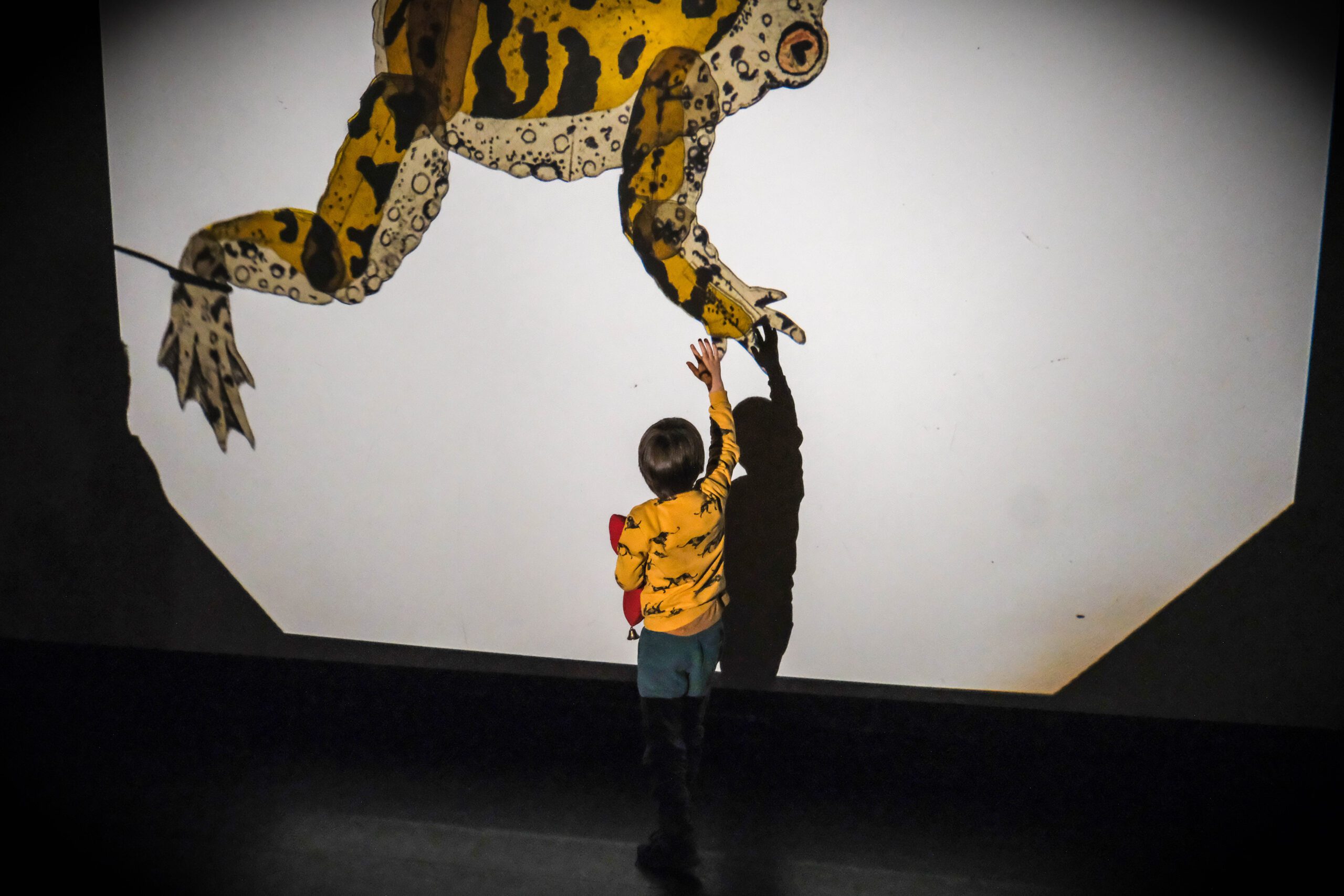 Animali da sogno – a cura di Fossick Project